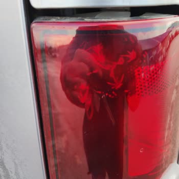 Citroen Berlingo Stop Lambası Sorunu Ve Garanti Süreci