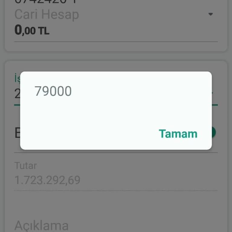 Para Transferinde Yaşanan Sorun Ve Mağduriyet