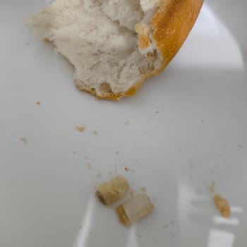 A101 Marketten Aldığım Ekmekte Sigara İzmariti Şoku