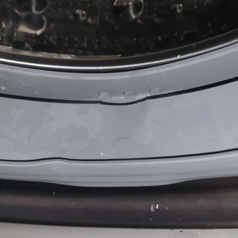 LG Çamaşır Makinesi: Kurulumdan Sonra Su Sızıntısı Ve Müşteri Hizmetleri Sorunu