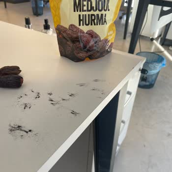 Simbat Hurma Skandalı: Sağlığımız Tehlikede!