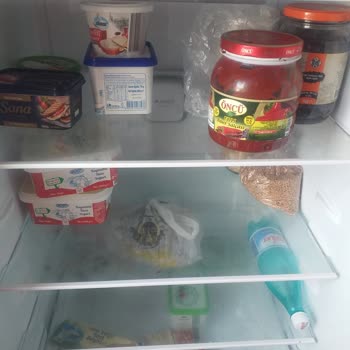 Buzdolabımın Lambası Yanmıyor Ve Ses Çıkmıyor