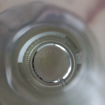 Buzdağı Su'da Yosunlanma Ve Tarih Sorunu