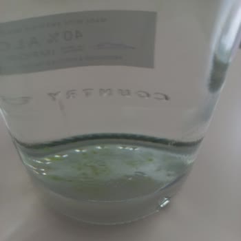 Buzdağı Su'da Yosunlanma Ve Tarih Sorunu