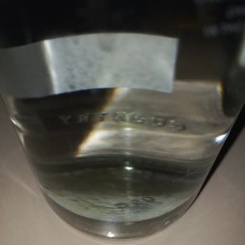 Buzdağı Su'da Yosunlanma Ve Tarih Sorunu