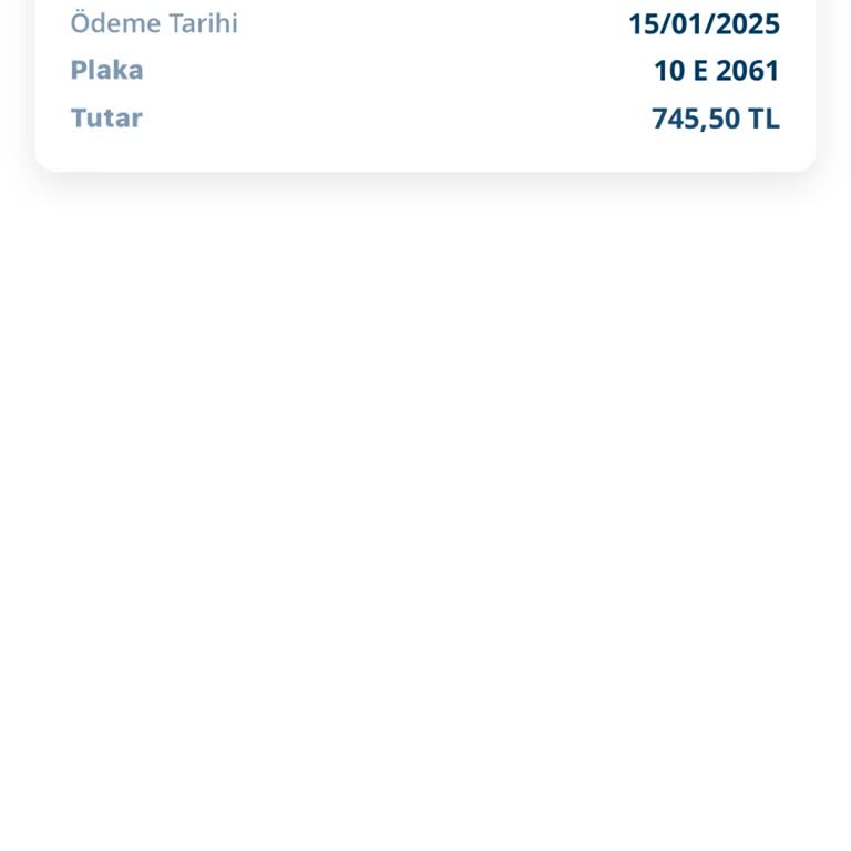 Ödenen Trafik Cezası Sistem Hatası
