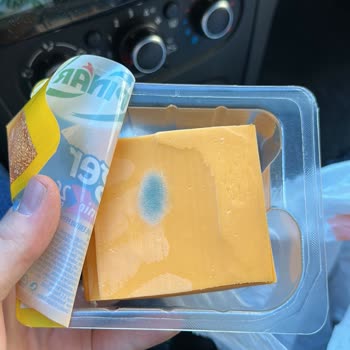 Burger Dilimli Peynirde Küflenme Sorunu