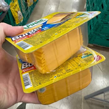 Burger Dilimli Peynirde Küflenme Sorunu