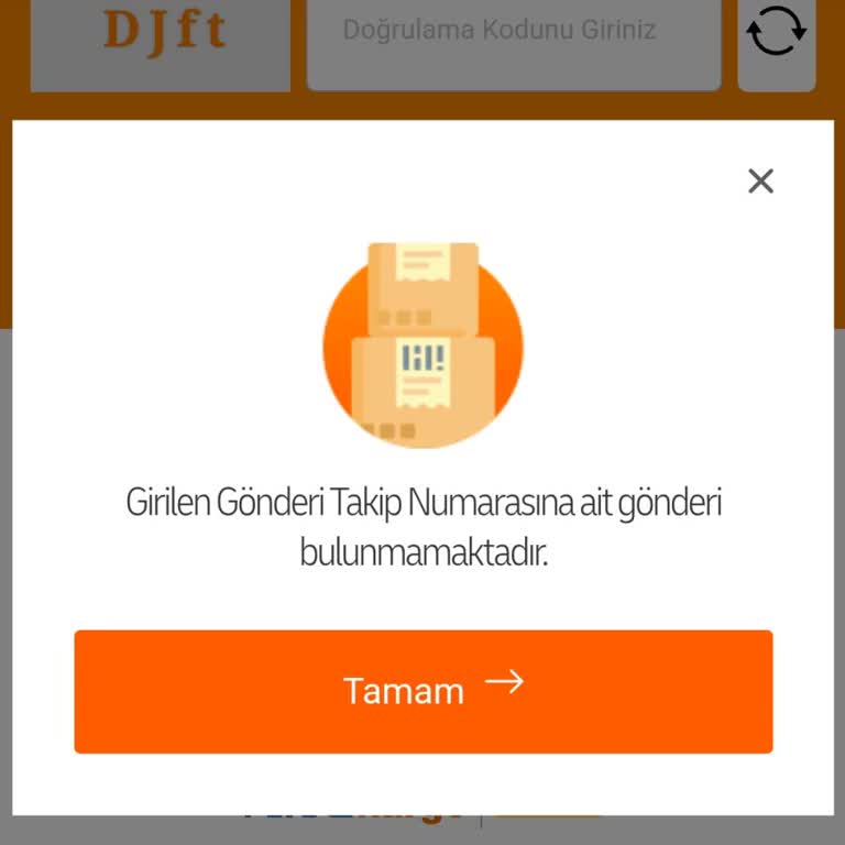 Kargo Takip Sorunu: Önemli Gün İçin Sipariş Verilen Etek Kayıp