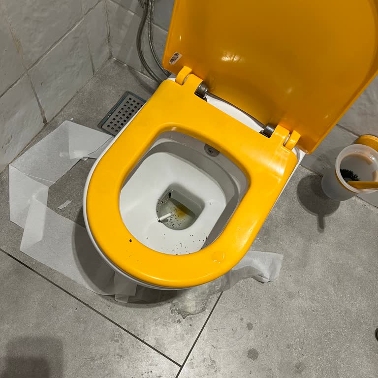 Aile Tuvaletinde Hijyen Skandalı