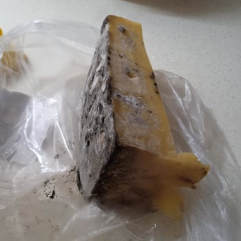 Sarıkamış Aslan Peynircilik Satıcısından Gelen Ürünlerin Kalitesizliği