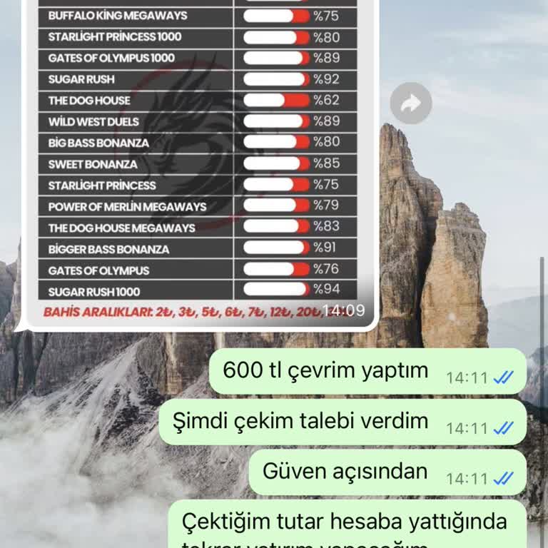 Yatırım Bonusları Ve Kazanç Sorunları