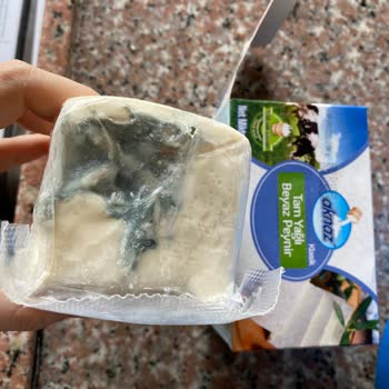 Tarihi Geçmemiş Peynirde Küf Sorunu