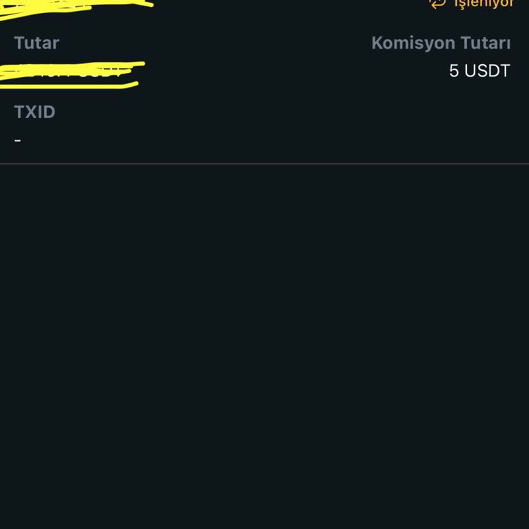 USDT Çekim İşlemi Sorunu: 48 Saatlik Bekleyiş