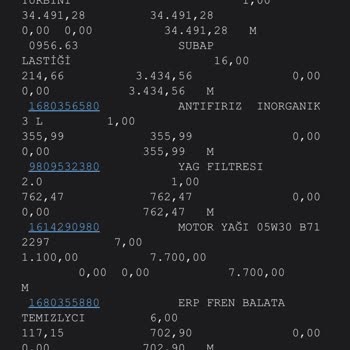 Peugeot Expert İle Bitmeyen Sorunlar