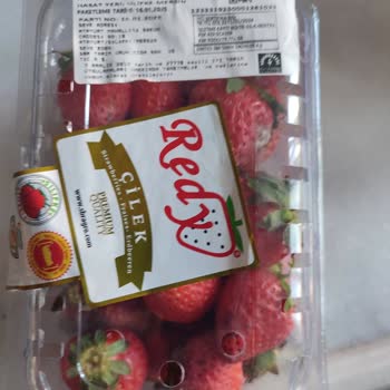 Migros'tan Aldığım Çilekler Küflü Ve Böceklenmiş Çıktı