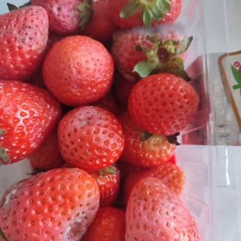 Migros'tan Aldığım Çilekler Küflü Ve Böceklenmiş Çıktı