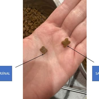 Petspati.com Sahte Kedi Maması Mağduriyeti