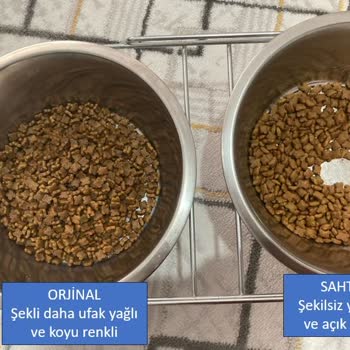 Petspati.com Sahte Kedi Maması Mağduriyeti
