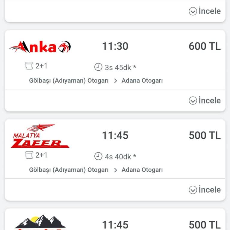 Adıyaman Gülaras'ta Bagaj Ücreti Ve Muavin Rahatsızlığı