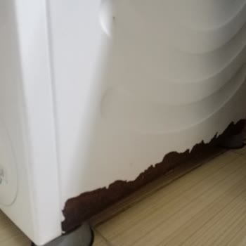 Bosch Çamaşır Makinesi Hayal Kırıklığı