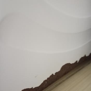 Bosch Çamaşır Makinesi Hayal Kırıklığı