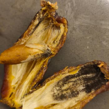 Kalitesiz Ürün Ve Sağlık Tehlikesi