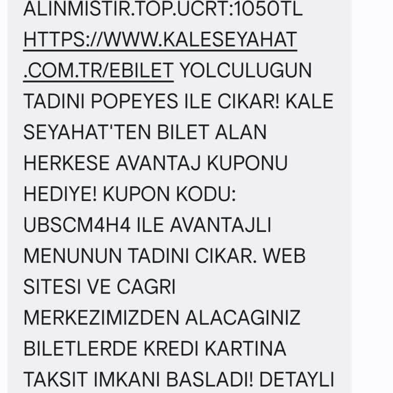 İstanbul'da Kayıp Zaman: İzmir Yolculuğu Kabusa Döndü