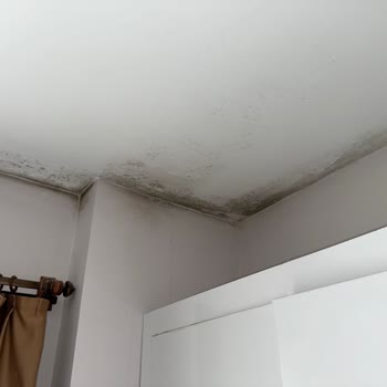 Laguna Thermal Yanıltıcı Satış ve Saygısız Müşteri Hizmetleri