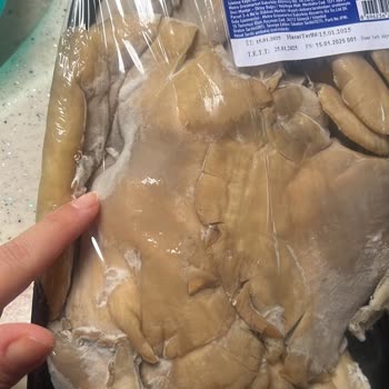 Taze Ürün Beklerken Küflü Sürpriz