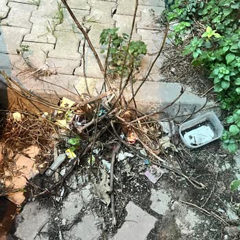 Eyüpsultan Belediyesi Hizmet Şikayeti