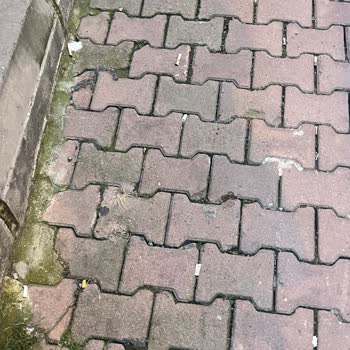 Eyüpsultan Belediyesi Hizmet Şikayeti