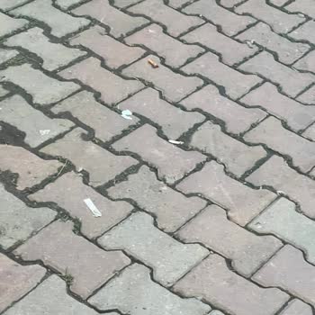 Eyüpsultan Belediyesi Hizmet Şikayeti