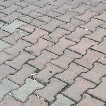 Eyüpsultan Belediyesi Hizmet Şikayeti