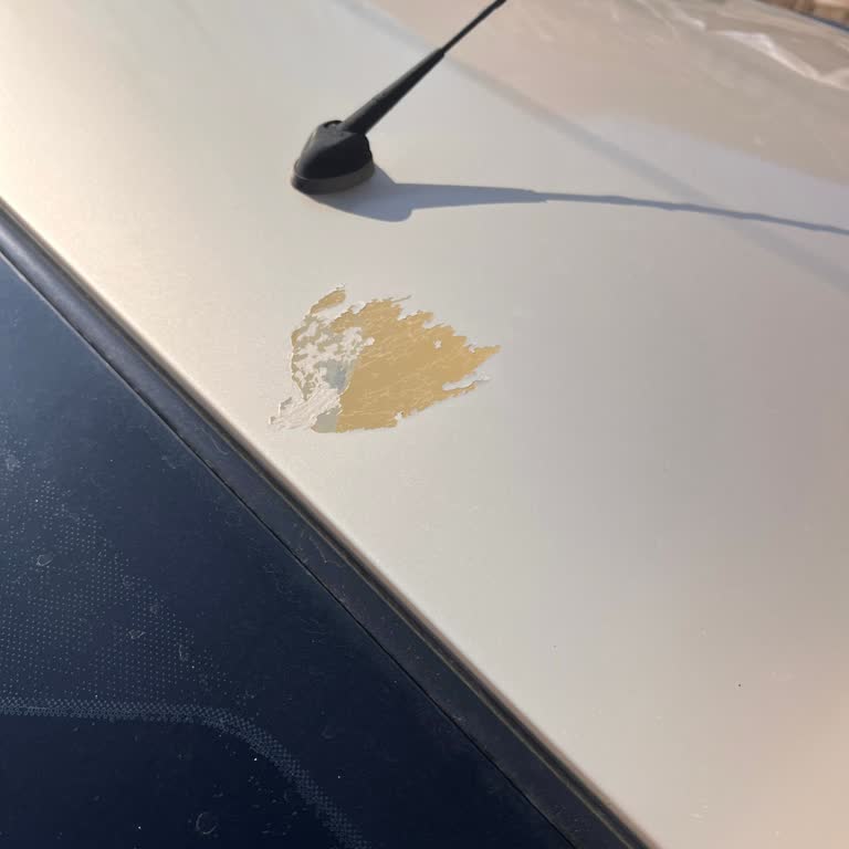Araç Yıkamada Boya Hasarı Ve İlgisiz Hizmet