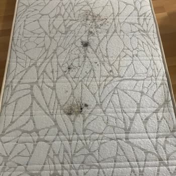 Çilek Mobilya'dan Aldığımız Yatakta Küflenme Sorunu