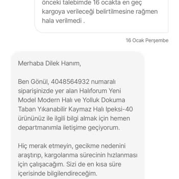 Halı Siparişim Hâlâ Gelmedi: Hepsiburada'dan Hayal Kırıklığı