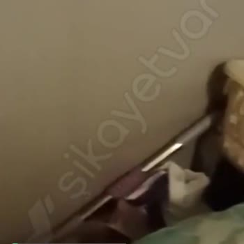 Heifer Bu Konuda Çok Mağdurum!