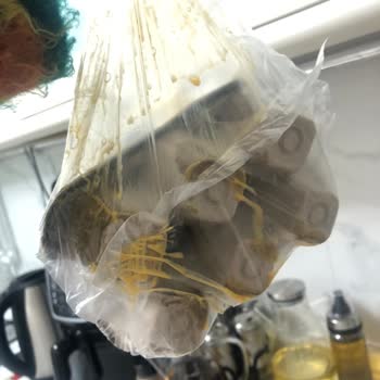 Kırık Yumurtalar Ve Sürekli Aksaklıklar: Migros'tan Beklenmedik Deneyim