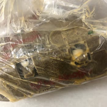 Kırık Yumurtalar Ve Sürekli Aksaklıklar: Migros'tan Beklenmedik Deneyim