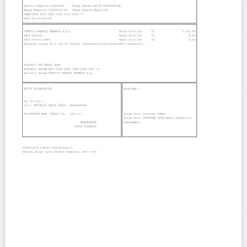 Para Transferi Sorunu: Yatırılan Para Hesaba Geçmiyor