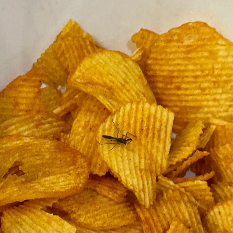 Cips Paketinde Şok Edici Buluntu