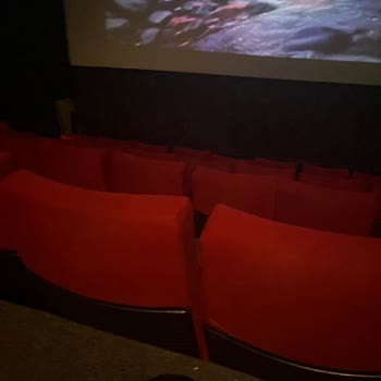 Kötü Koku Ve Temizlik Sorunlarıyla Dolu Sinema Deneyimi
