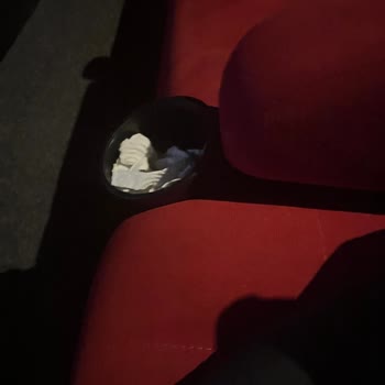 Kötü Koku Ve Temizlik Sorunlarıyla Dolu Sinema Deneyimi