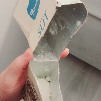 Süt Kutusundan Gelen Tıkırtı Ve Yoğurt Sürprizi