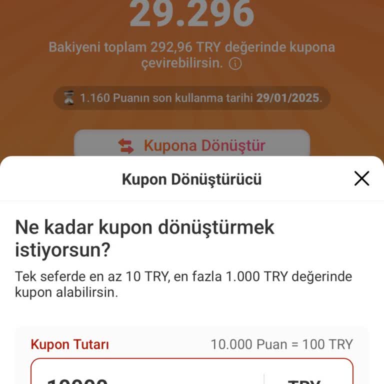 Puanların Kupona Dönüşmemesi Sorunu