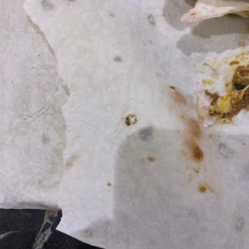 Küflü Ekmek Hayal Kırıklığı