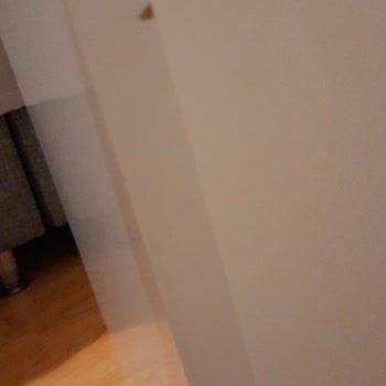 Bellona'dan Gelen Hasarlı Ürünler Ve Etik Dışı Davranış