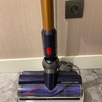 Yanlış Renk Başlıklarla Gelen Dyson Süpürge Hayal Kırıklığı