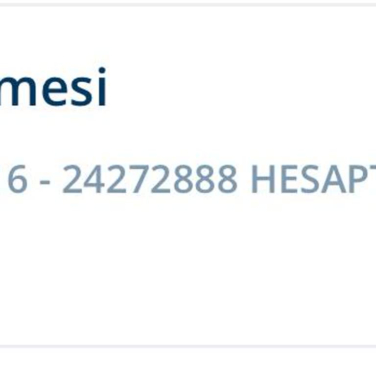 Denizbank İşletme Kartı Borç Sorunu